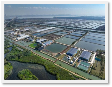Busbar Trunking System Project Case Study